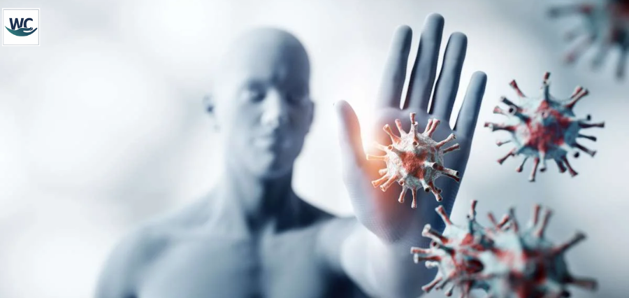 Humoral vs Cell-Mediated Immunity | World care magazine